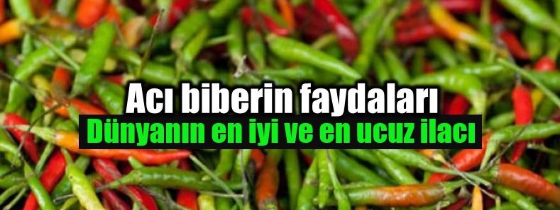 BİBERİN FAYDALARI ile BULUNAN VİTAMİNLER ve MİNERALLER